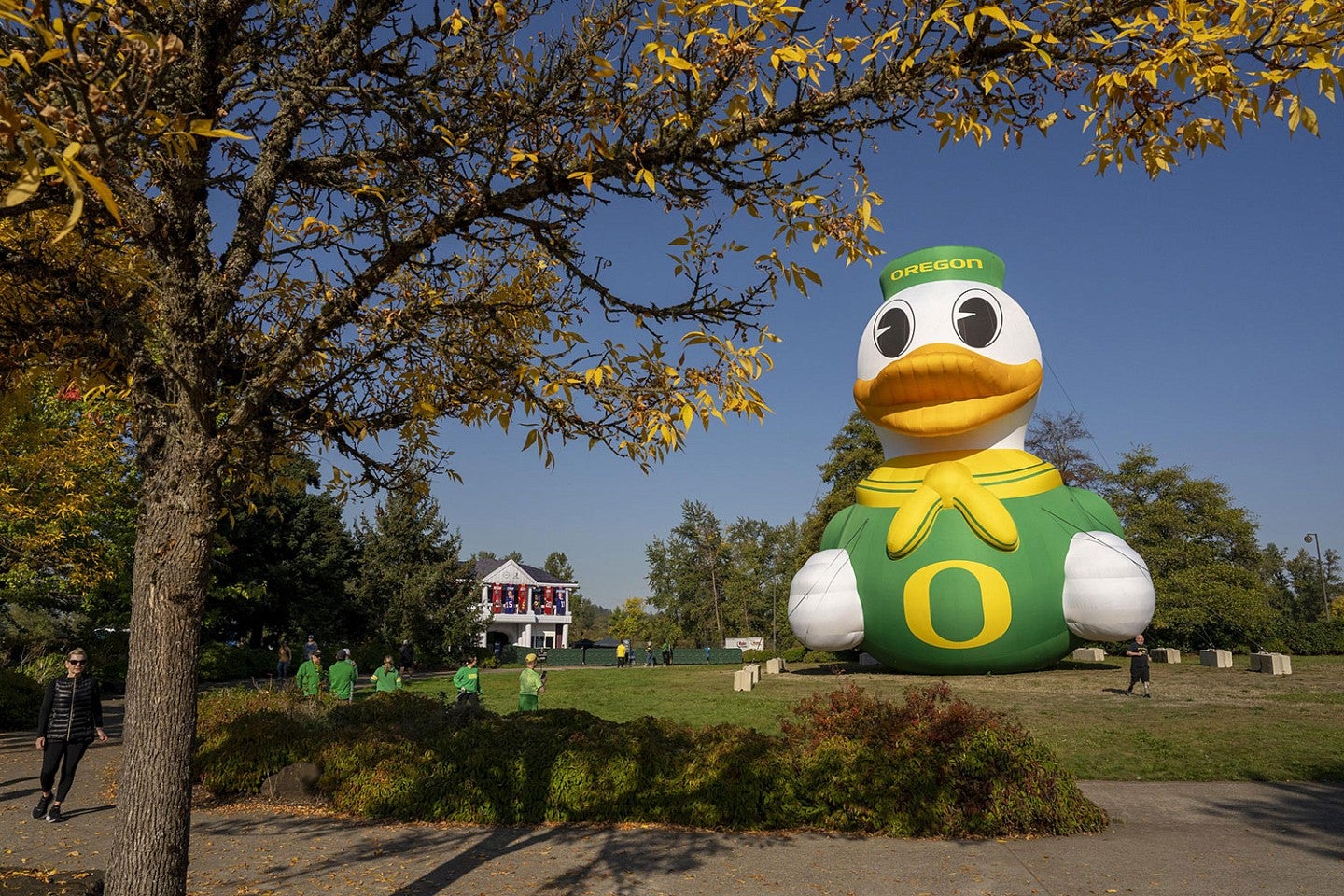 a large inflated Duck on display in a grassy area